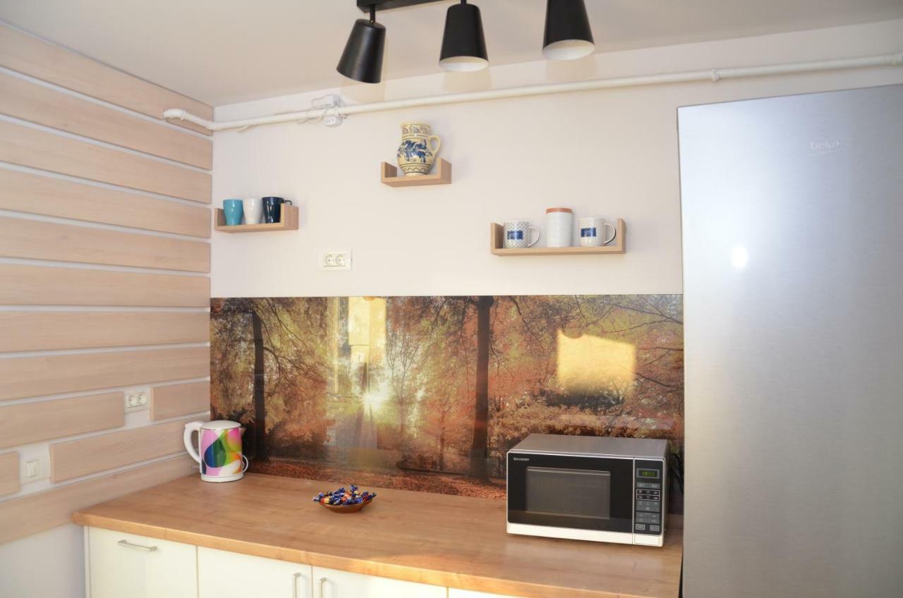 Modern And Cozy Apartment Piteşti Exteriér fotografie