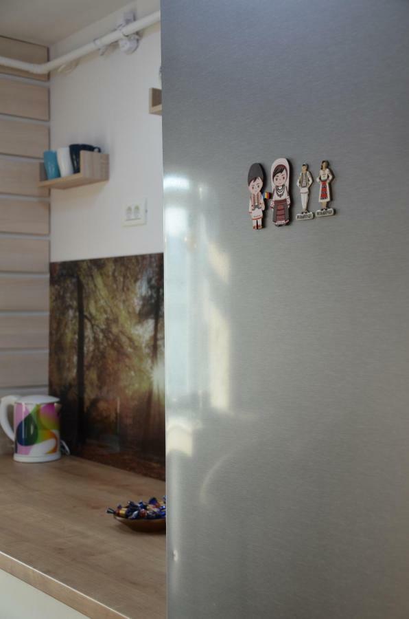 Modern And Cozy Apartment Piteşti Exteriér fotografie